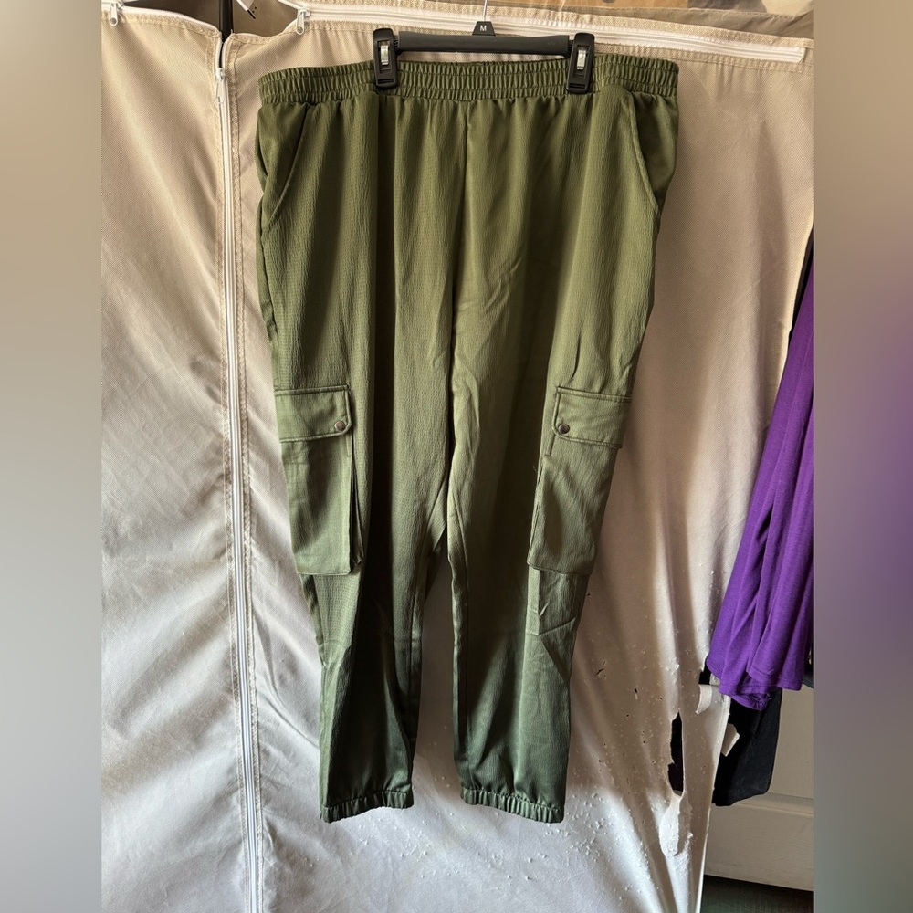 Time and true extra large silky, hip-hop pants never worn size extra large green